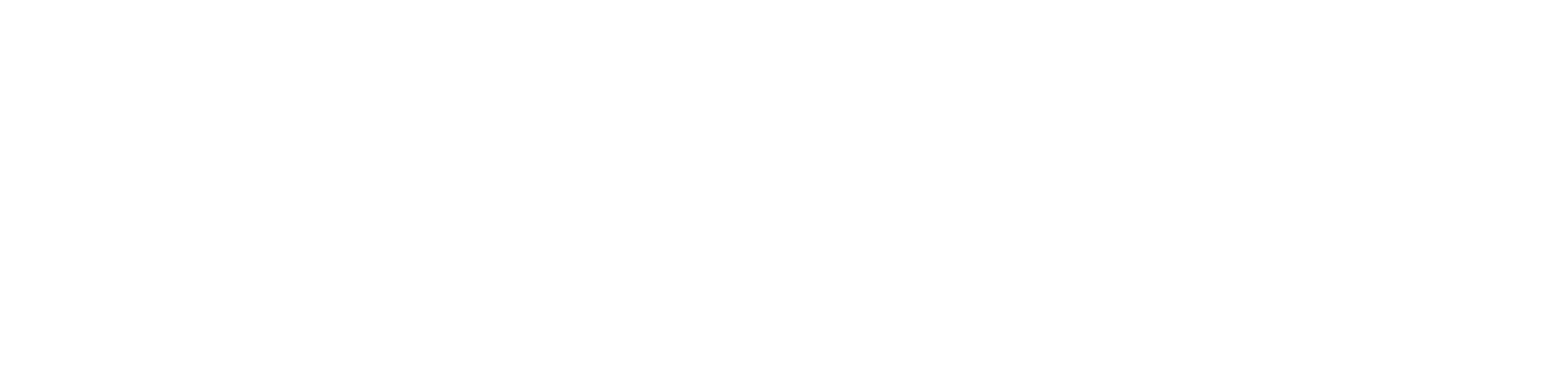 logo_de_Moon_training_footer